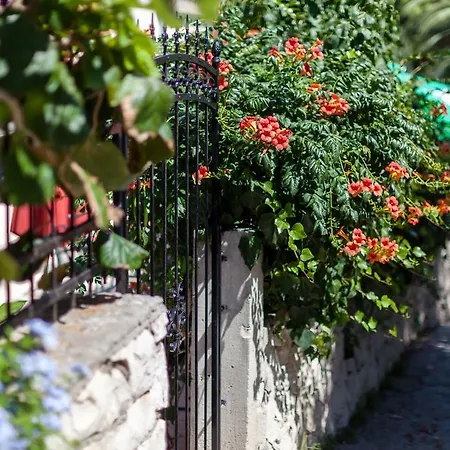 Villa Aequum Okrug Gornji